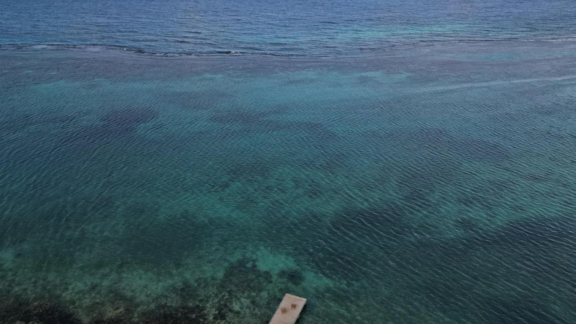 Hotel Ocean Palms